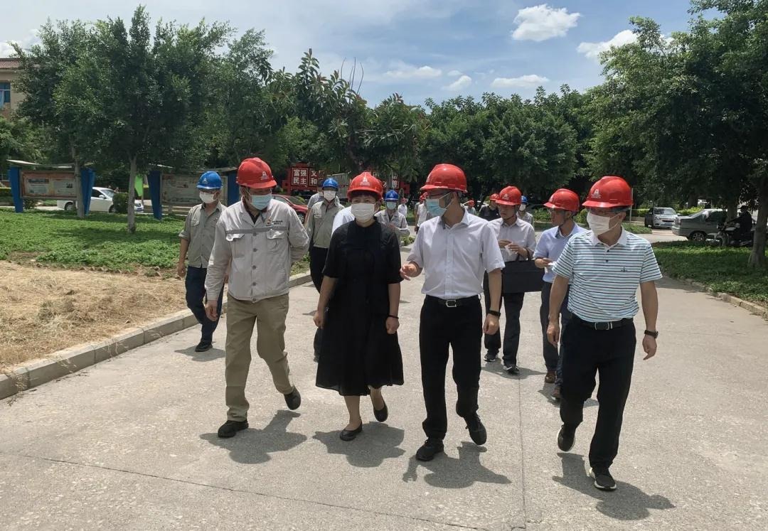 红河州州委副书记、州长罗萍赴云南解化清洁能源开发有限公司解化化工分公司开展安全生产专项调研