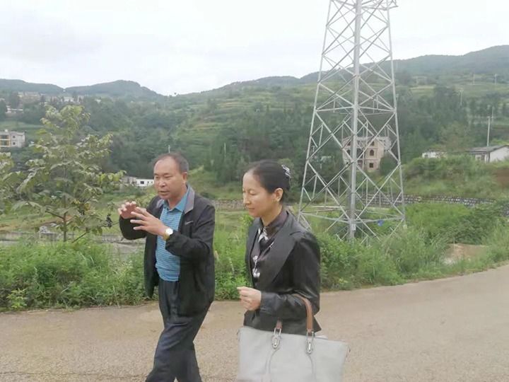 集团党委委员、财务总监莫晓丹一行到羊场口煤业和顺源煤矿开展煤矿项目建设工作专项调研