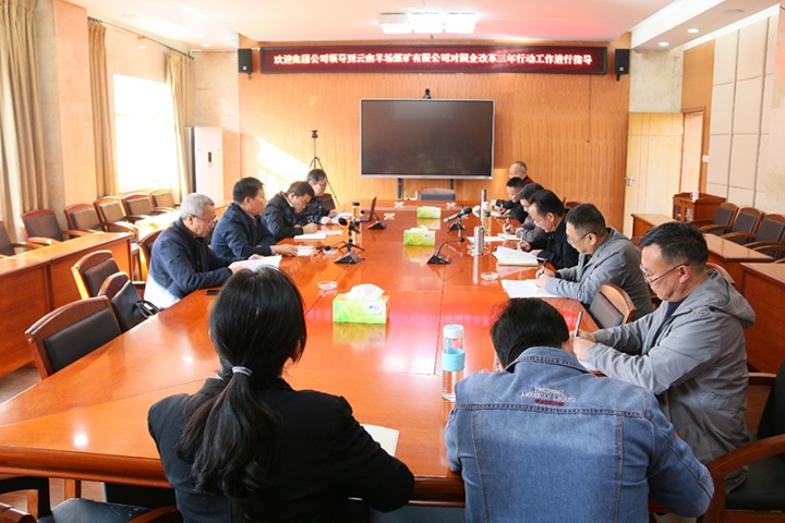 龙8头号玩家(国际)官方网站（煤化）集团总经理助理、改革办主任陈家昆一行到云南羊场煤矿有限公司开展国企改革三年行动督导调研