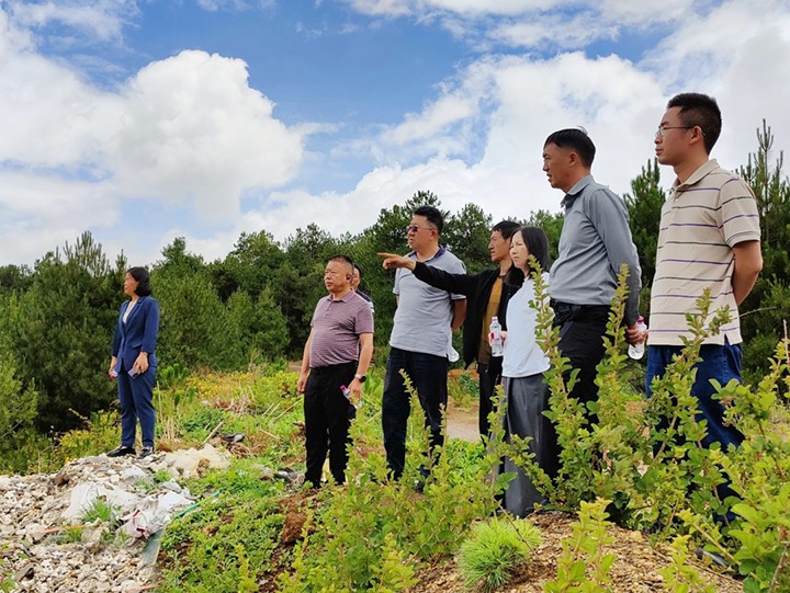 【主题教育】龙8头号玩家(国际)官方网站（煤化）集团专职外部董事寸延峰，集团党委委员、财务总监莫晓丹到马厂煤矿、汉家厂煤矿、竹麻地煤矿开展主题教育调研
