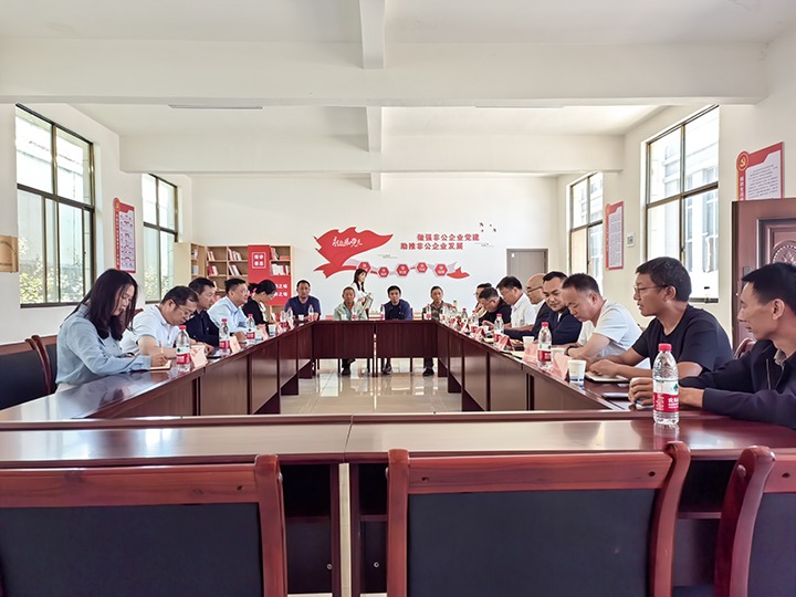 龙8头号玩家(国际)官方网站矿业公司党委扎实推进参股混合所有制企业党建工作