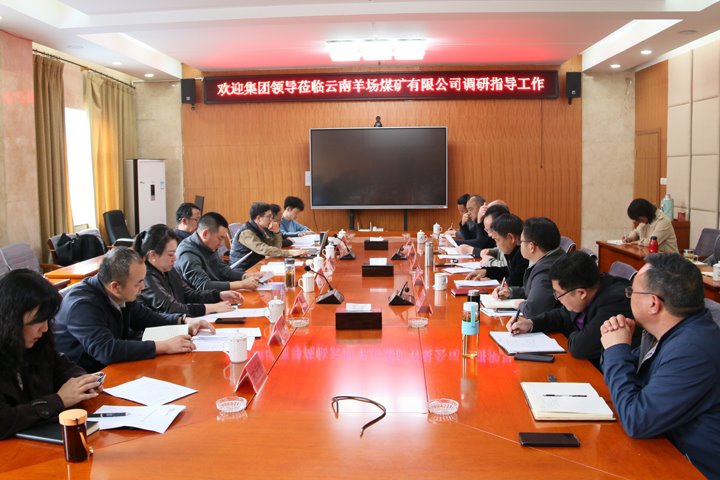 龙8头号玩家(国际)官方网站集团党委委员、副总经理缪和星到云南羊场煤矿有限公司调研