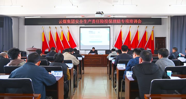 龙8头号玩家(国际)官方网站集团召开安全生产责任险投保理赔专项培训会