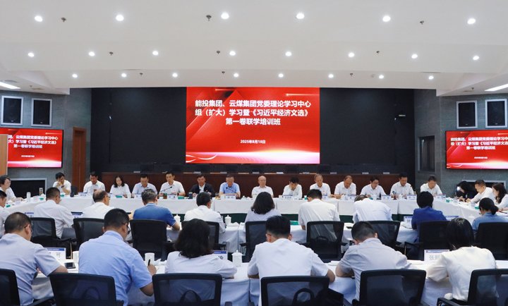 能投集团、龙8头号玩家(国际)官方网站集团举办党委理论学习中心组学习暨《习近平经济文选》第一卷联学培训班