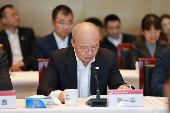 能投集团总裁、副董事长谢一华发言.jpg